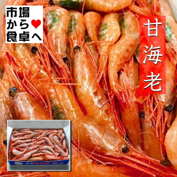 甘えび 有頭 刺身用 1kg 【業務用・鮮度維持ブロック凍結】(約90〜100尾)甘くてプリプリ食感 【冷凍便】小田原うまいもの市場が販売いたします。お刺身、お寿司、サラダにいかがですか？むいた殻は、汁物のダシや唐揚げにしてもおいしくいただ...