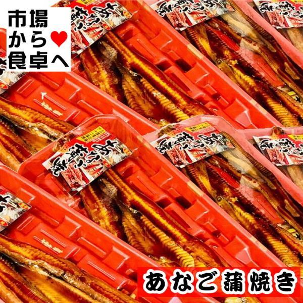 あなご 蒲焼き  120g×4パック（タレ・山椒付き）国産・三陸沖の穴子を使用しています【冷凍便】