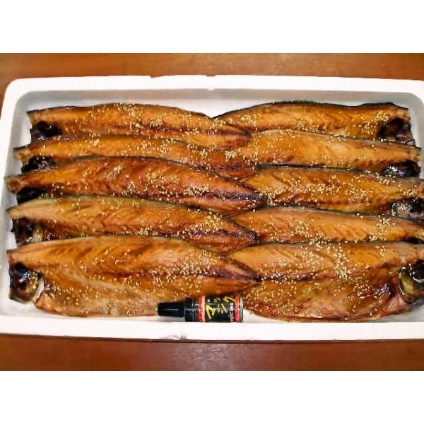 さば みりん干し 国産10枚入り 小田原ひもの 山市商店 自分の子供にも自信をもって食べさせています 冷凍便 Www Balviten Cz