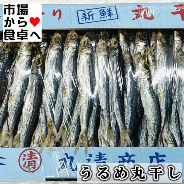 うるめいわし丸干し 3箱(1箱1kg入り)【上乾・鹿児島県産】しっかり干した本乾タイプ、炙って酒のつまみに、ほろ苦さがたまりません【冷凍便】