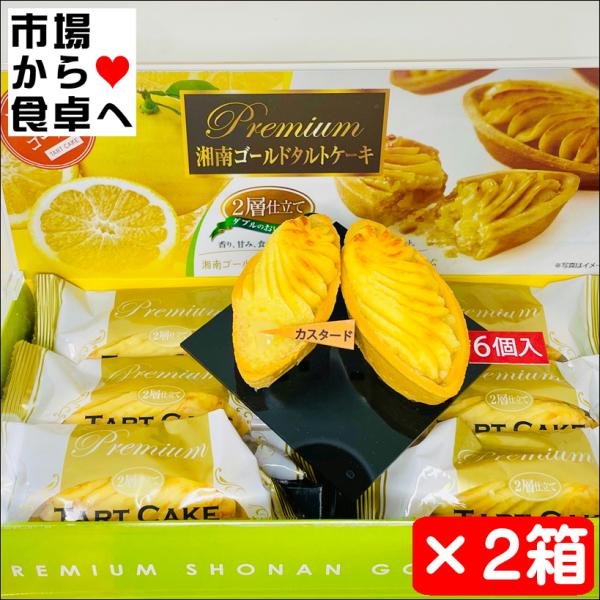湘南ゴールドタルトケーキ 2箱(1箱6個入り)【カスタード入りタルト