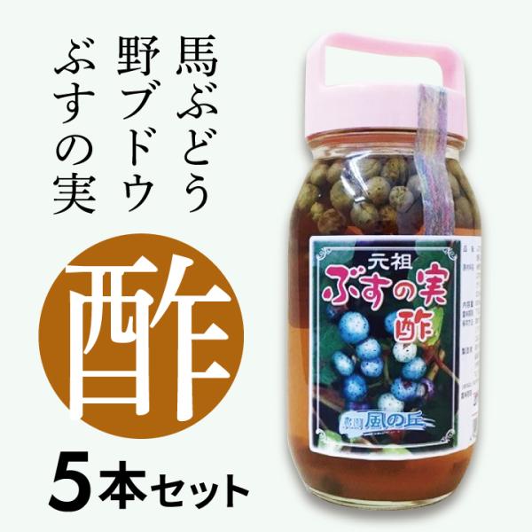 会津産】 ぶすの実酢 5本セット 馬ぶどう 野ぶどう : 奥会津河内 会津産】 ぶすの実酢 5本セット 馬ぶどう 野ぶどう : 奥会津河内
