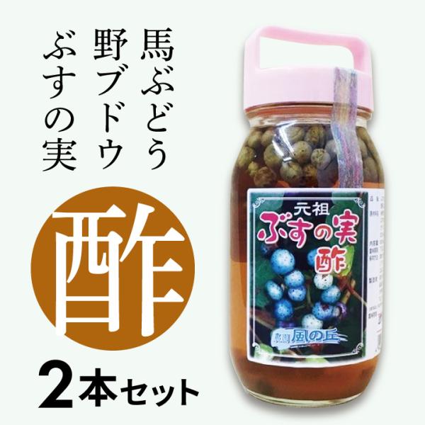 2025年度　新物　野ぶとう　ノブドウ　乾燥　300g　馬ぶどう　漢方　ぶすの実 2025年度 新物 野ぶとう ノブドウ 乾燥 300g 馬ぶどう 漢方 ぶすの実