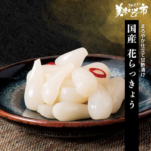 [Release date: February 26, 2024]