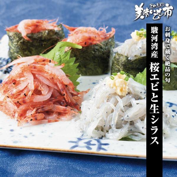 [Release date: February 27, 2025]