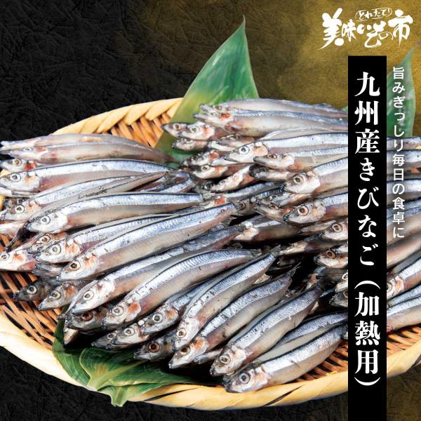 [Release date: November 4, 2025]