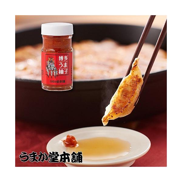ゆず胡椒 柚子こしょう 無添加 香辛料  調味料 博多うま柚子赤60g ゆず胡椒 博多 福岡 博多名物