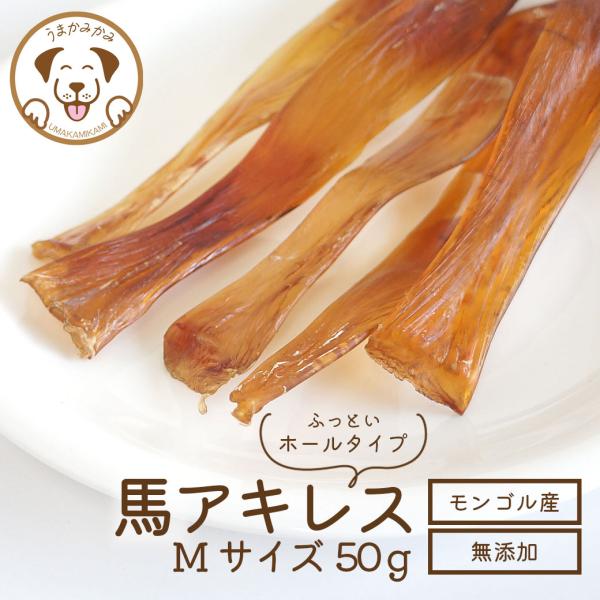 犬 おやつ 無添加 ジャーキー 馬アキレス 太め Mサイズ 50g お試し