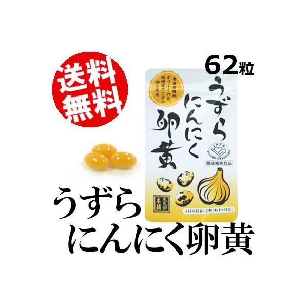 ɂɂ 62 Y  