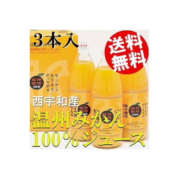 ݂W[X Xg[g B 3{ 1L Fa Q Y  i 