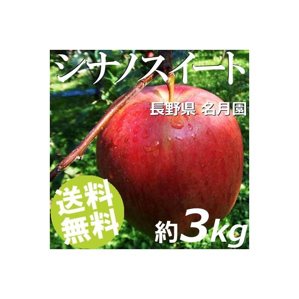 \񏤕i 10/10炨͂ 3kg 9`12 VimXC[g 쌧  i 