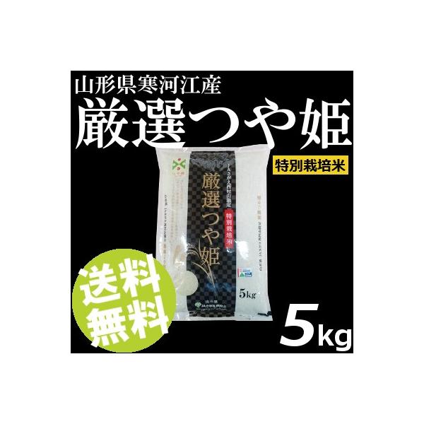 \񏤕i 10/15珇͂ߘa7NYV  5kg  IP R`͍]Y  ʍ͔|  i 