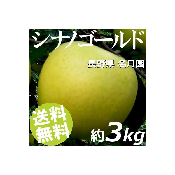 ※ご予約商品 10/20頃からお届け※りんご 3kg 8〜12玉 シナノゴールド 長野県名月園 送料無料 贈答品 お取り寄せ