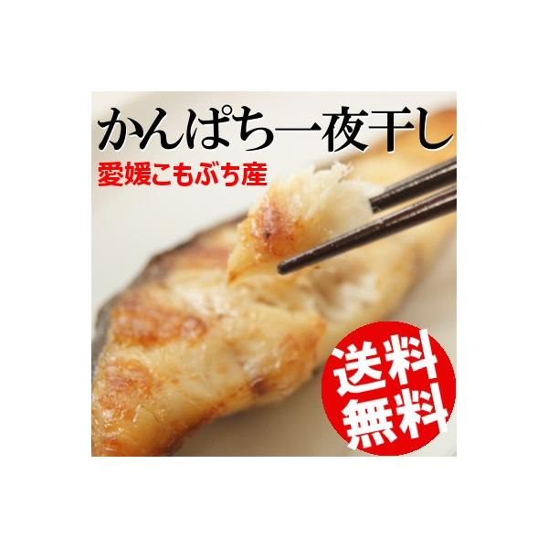 銱 ς 8 640g Q Fas Ԃ Ă  i 