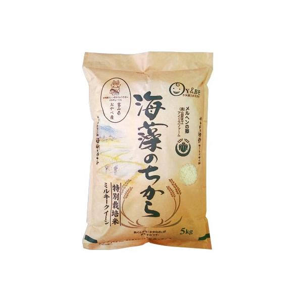 \񏤕i 10/25珇͂ߘa7NYV  5kg  ~L[NC[ xRY  ʍ͔| ACXt@[  