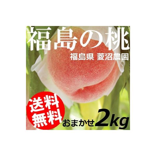※ご予約商品 8/1頃からお届け※もも 桃 おまかせ 2kg 5〜8玉 福島県菱沼農園 送料無料 お中元 贈答品 取り寄せ 産地直送 ふくしまプライド。