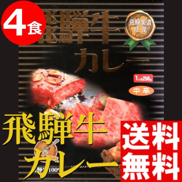 カレー レトルト セット 4食 高級 岐阜県覇楼館 ご当地 飛騨牛ビーフカレー 送料無料 贈答品 お取り寄せ