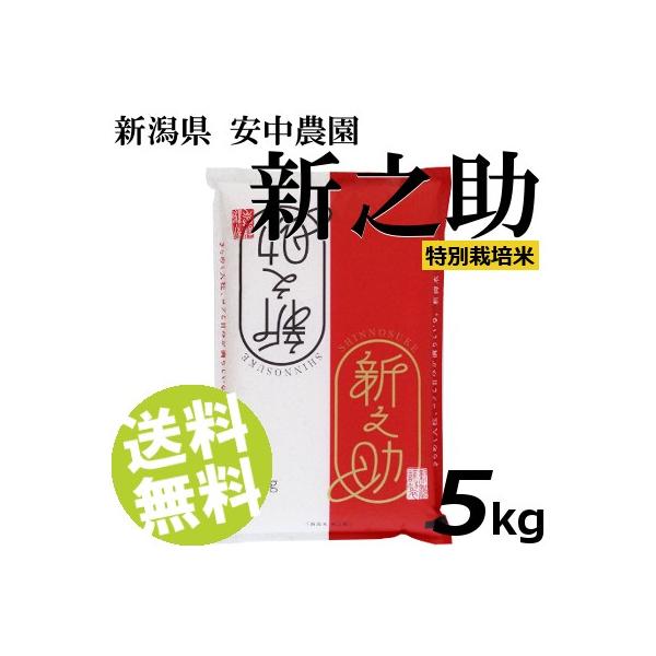 お米 5kg 白米 新之助 新潟県産 精白米 特別栽培米 安中農園 送料無料 贈答品 お取り寄せ
