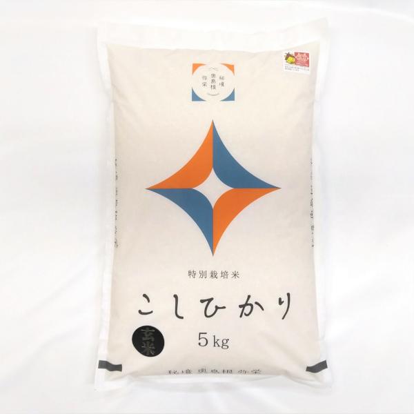 お米 5kg 玄米 コシヒカリ 島根県産 特別栽培米 秘境奥島根弥栄こしひかり 送料無料 贈答品 お取り寄せ