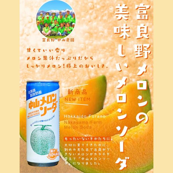 北海道 富良野中山メロンソーダ 谷口農場 中山農園 30本 250ml 缶入