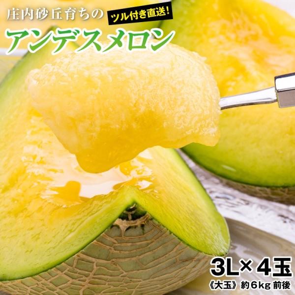 与え 庄内砂丘特産 アンデスメロン 3L4個 贈答用 starehegirlscentre.sc.ke