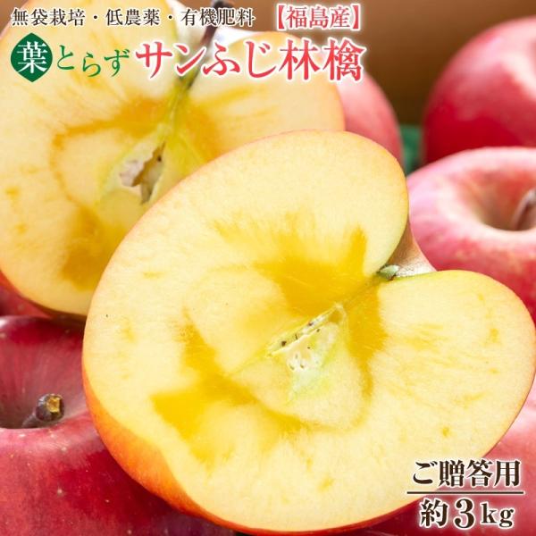 tƂ炸 Tӂь ӂь Y tƂ炸Tӂ  pRkg(V`PPʁjyzS  Ε  Mtg v[g