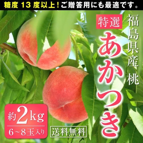 桃 白桃 福島産白桃 特選あかつき 約２kg 約６ ８玉 送料無料 お中元 夏ギフト ご贈答 プレゼント 桃 もも モモ Buyee Buyee Japanese Proxy Service Buy From Japan Bot Online