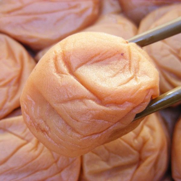 IB썂~Eΐ_̔~ui݂͂j400vؔyɍœKIzyz