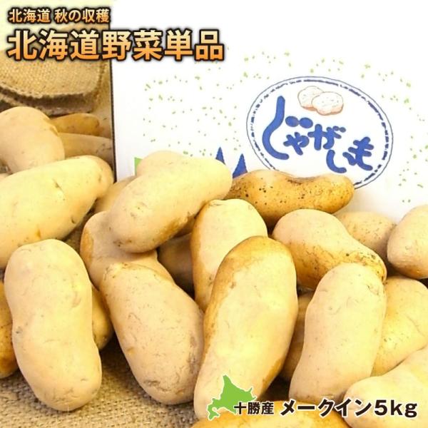 VႪ WKC [NCTiklTCYjkC\Y yzkC蒼@ႪEWKC