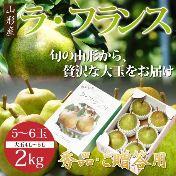 ɂΕɁIR`Y EtX 2kgi5`6ʁjϔyztX Ε Mtg m miV m  Ȃ oח\11{