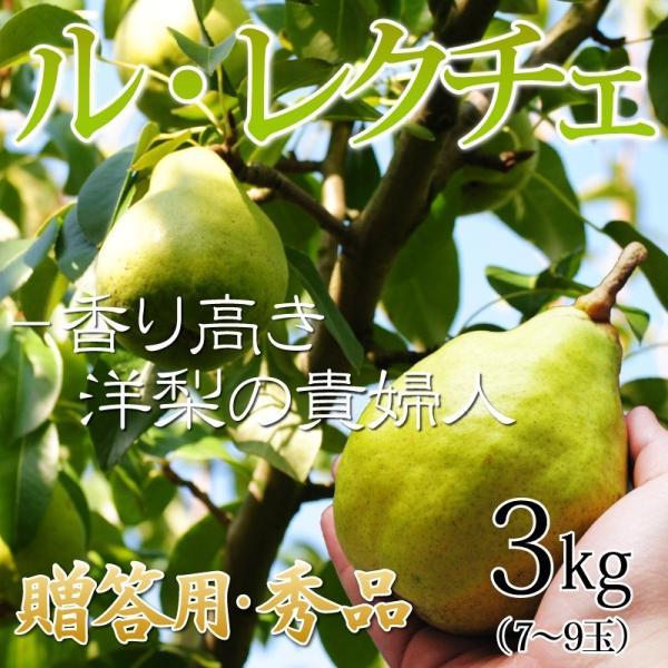 m m Ȃ Ε p O荂m̋Mwl YnC EN`FRkg Gi(W`PQ)ϔ R`Y VY  󏭃t[c