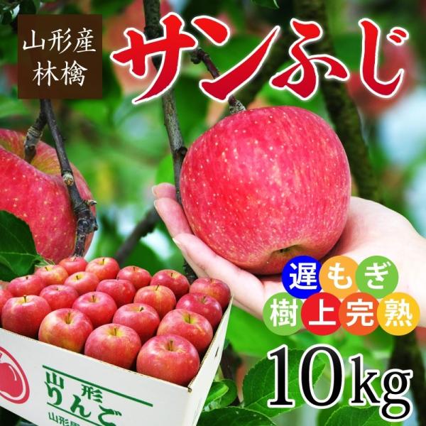 ь Tӂ S  ӂ tW Y R`Y xn ㊮nTӂь Gi10kg(24`40ʑO)  Tӂь R`