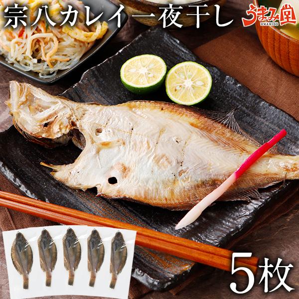 宗八カレイ 一夜干し 5枚 干物 送料無料 北海道 お土産 お返し ギフト 海鮮 鰈 魚介類 食品 プレゼント 結婚祝い 出産祝い おつまみ 食べ放題 見舞 アウトレット Us 0009 5p うまみ堂 通販 Yahoo ショッピング