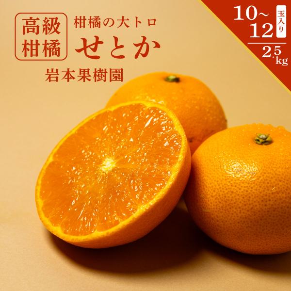 長崎県産 岩本果樹園 せとかみかん 10〜12玉 1箱 箱 せとか セトカ
