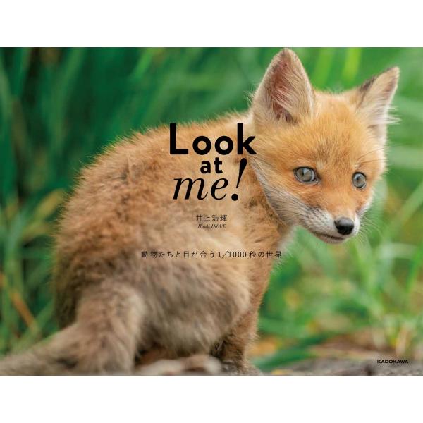 7月25日 日 までポイント5倍 Look At Me 動物たちと目が合う1 1000秒の世界 Photj 梅田 蔦屋書店 ヤフー店 通販 Yahoo ショッピング