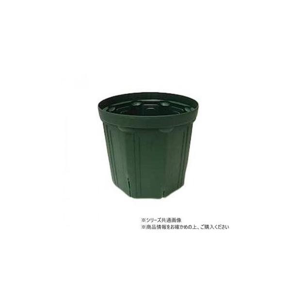 南出 スリット鉢JAN付 CSM-240 モスグリーン