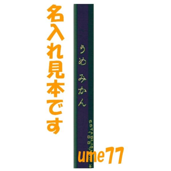 ポスト投函の送料無料 ひらがな名入れ ショウワノート かきかたえんぴつ ポケモン ポケットモンスター Sun Moon 2b 名前入れ Buyee Buyee 日本の通販商品 オークションの代理入札 代理購入