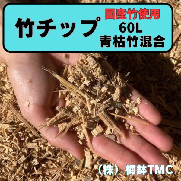 umebachitmc_att060000