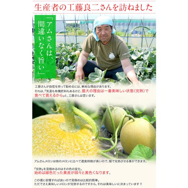 青森県産 つがりあんメロン アムさん 秀品 1玉 約1 3kg 送料無料 常温 産地直送 Buyee Buyee 提供一站式最全面最專業現地yahoo Japan拍賣代bid代拍代購服務 Bot Online