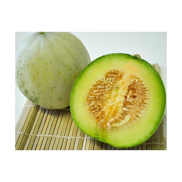 熊本・茨城・千葉県産プリンスメロン