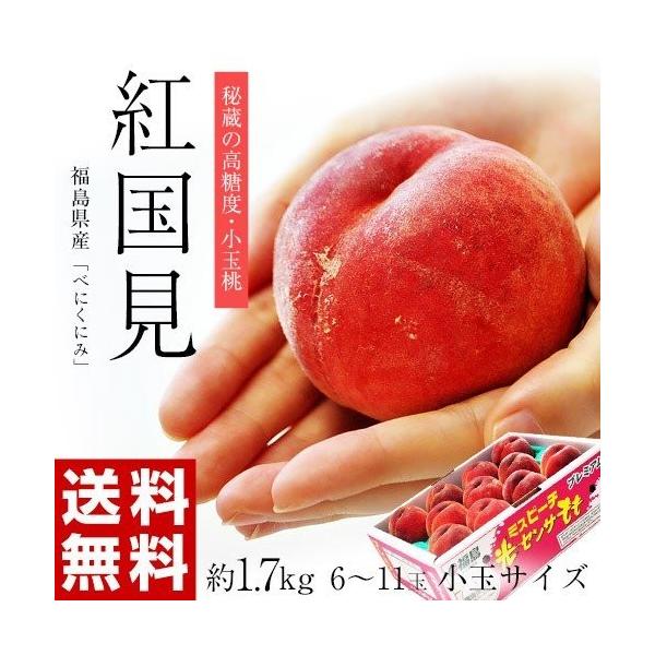 お中元 御中元 桃 もも 果物 福島県産 伊達の桃 紅国見 6 11玉 約1 7kg 送料無料 Buyee Buyee Japanese Proxy Service Buy From Japan Bot Online