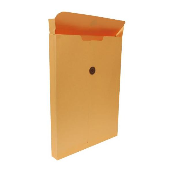 p2 ۑ }` Rt Ђt  xXgJ[ 5FL 120g 100