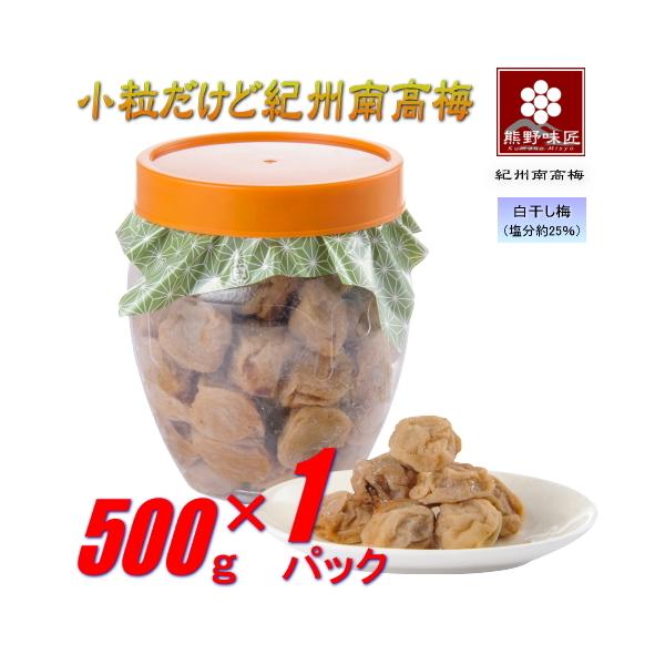 y|CgR{zyIɂEٓɍœKIzċIB썂~mn500g IB썂~ (25%)