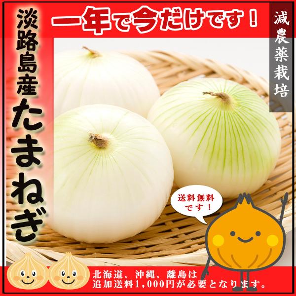 たまねぎ 淡路島産 新玉ねぎ 22年産 10kg 淡路島玉ねぎ サイズおまかせ 減農薬栽培 玉葱 淡路島 玉ねぎ 野菜 ねぎ タマネギ 玉ネギ たま葱 得トク2weeks Tamanegi10k 梅干し 海産物 うめ海鮮yahoo 店 通販 Yahoo ショッピング