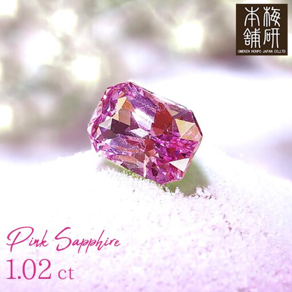 umekenhonpo_ukhs-ps-102ct umekenhonpo_ukhs-ps-102ct