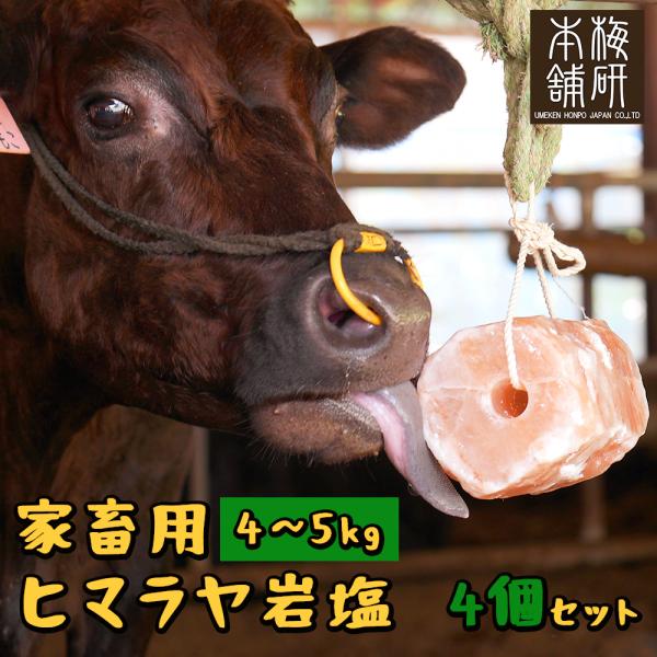 家畜用岩塩 4〜5kg 4個セット アニマルソルト ヒマラヤ岩塩 牛 ヤギ 馬