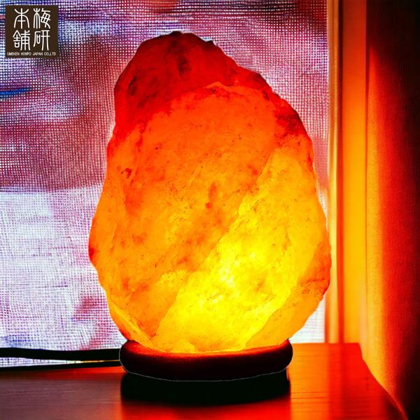 ヒマラヤ岩塩ランプ 8-12kg ソルトランプ 岩塩 ヒマラヤ岩塩 イ