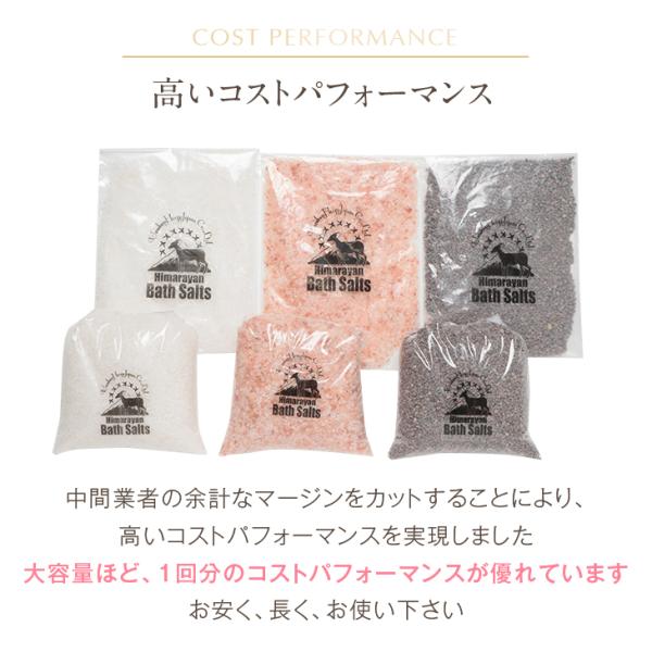 バスソルト 岩塩 ヒマラヤ岩塩 25kg ピンク ブロック 定価