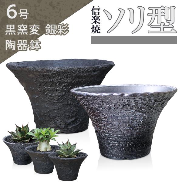 盆栽鉢 6号 ソリ型 銀彩 信楽焼 山野草 観葉植物 アガベ 塊根