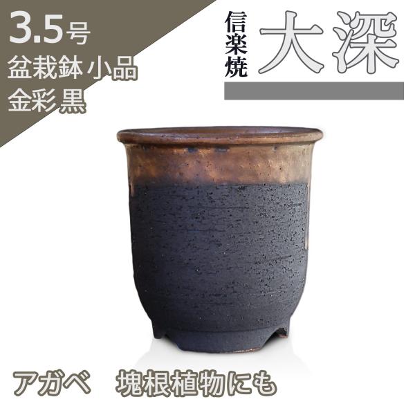 盆栽鉢 3号クラス 大深 金彩 黒 信楽焼 山野草 観葉植物 アガベ 塊根
